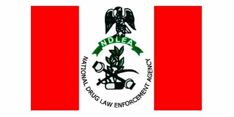 NDLEA seizes 203,879 Tramadol tabs in raids of 4 states