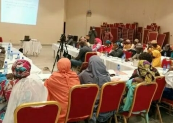 Cross-section-of-participants-at-the-training-of-health-managers-and-ECD-Desk-Officers-and-Supervisors-on-the-integration-of-ECD-and-ASRH-in-Zaria