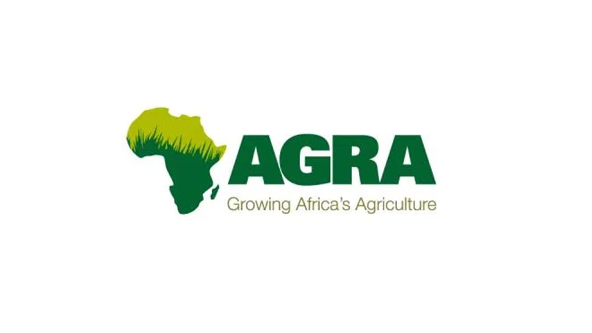 AGRA unveils training programme for 300,000 maize farmers in Kaduna State