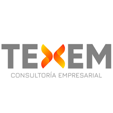 TEXEM Logo