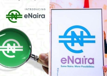 e-Naira