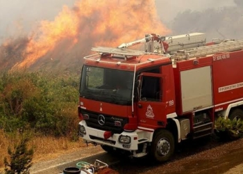 Fire service (Depict Image)
