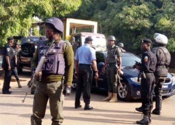 Nigerian Police (Depict Image)