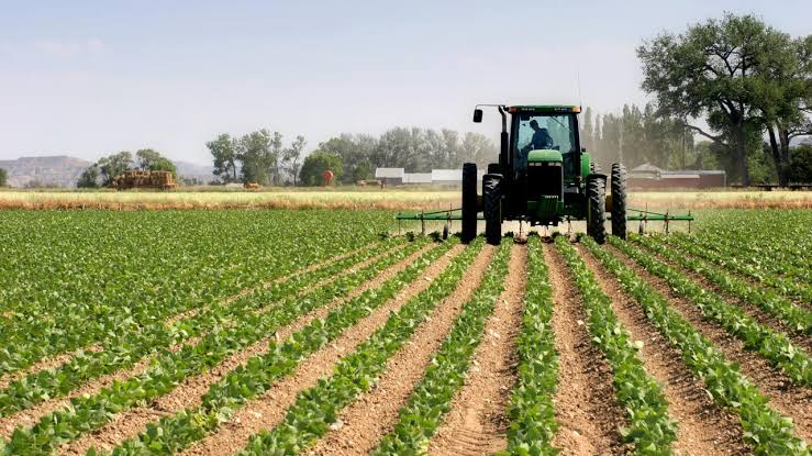 FCT Secretary reiterates commitment to reposition agriculture sector