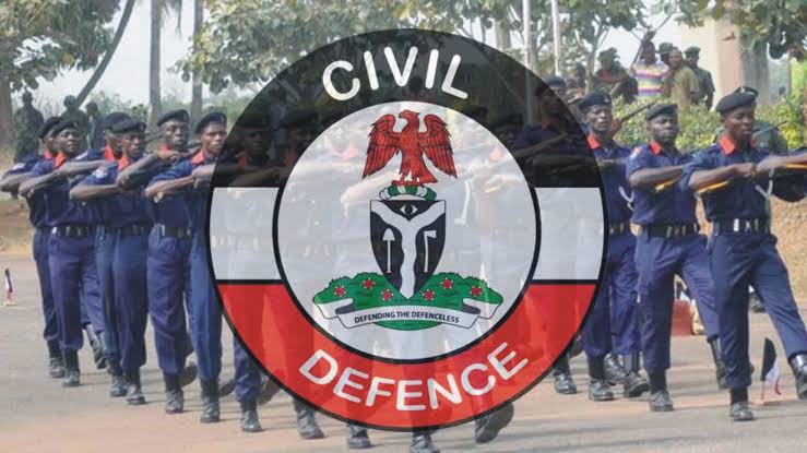 Intensify the fight against vandalism - NSCDC boss tasks personnel