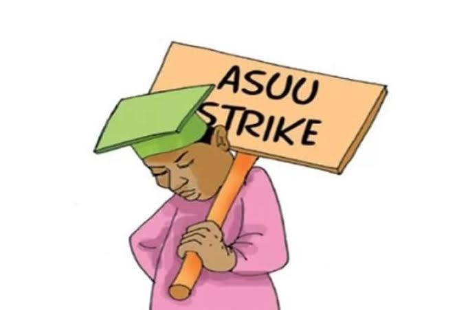 ASUU Strike: Final year medical student turns food vendor in Sokoto