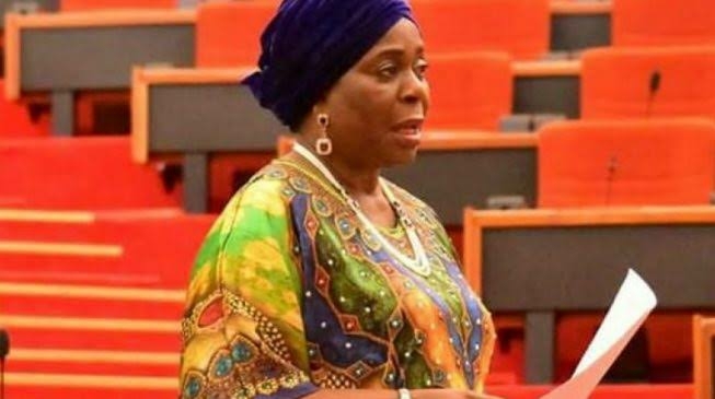 Sen. Biodun Olujimi (PDP-Ekiti South)