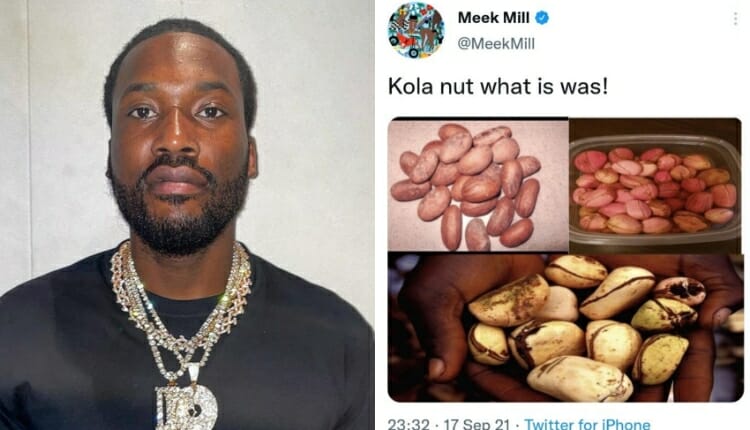 African Herb Instantly Cured My Tummy Problem Of Two Years —Meek Mill
