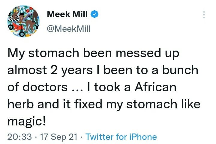 African Herb Instantly Cured My Tummy Problem Of Two Years —Meek Mill 