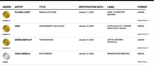 Ckay with a spot on the RIAA website