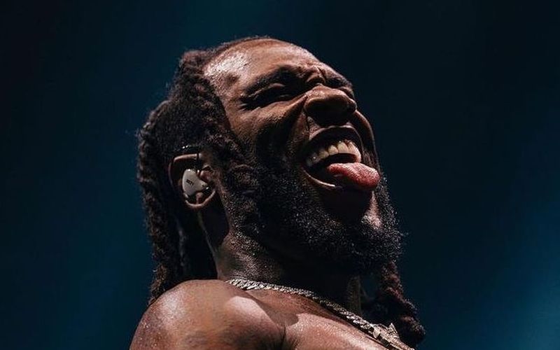 Burna Boy, Megan Thee Stallion, Others To Thrill Eventgoers At 2022 Billboard Music Awards