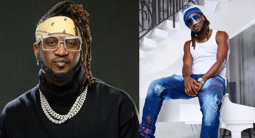 Animals ready to protest for using them to back up lies – Paul Okoye reacts to news of N18.9 bn to clear bush