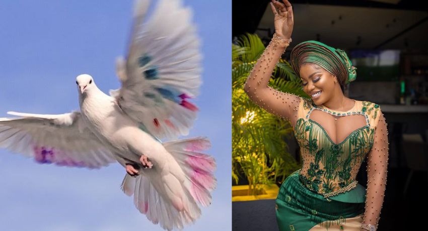 I want to turn into a bird and fly – Ese Eriata laments scary adulthood