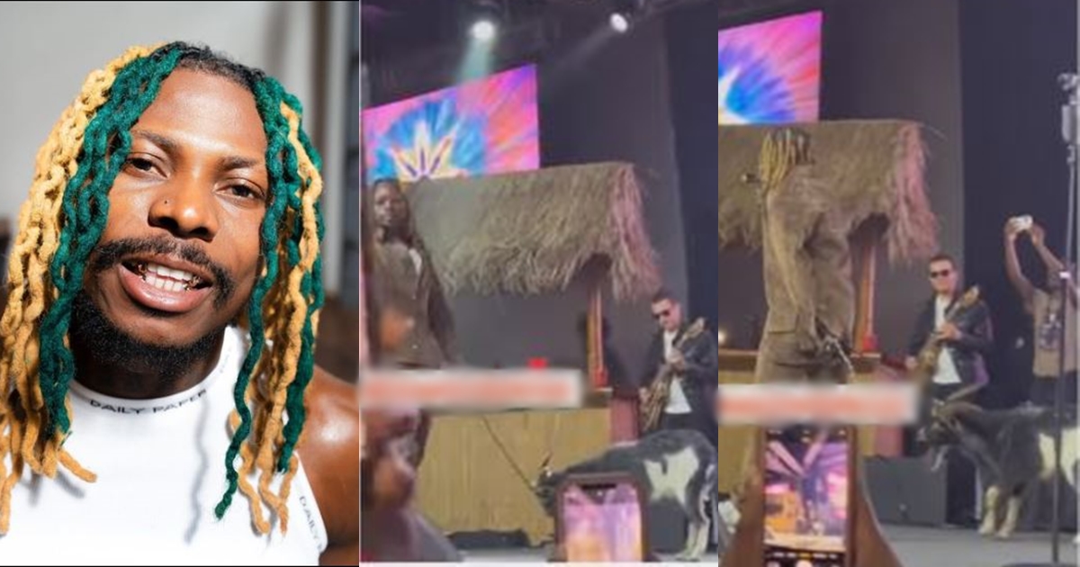 “The thing too stubborn” – Reactions as Asake performs with goat on stage (Video)