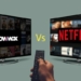 The battle between Netflix and Showmax for Nigerian viewers in 2025: Who’s truly winning and why?