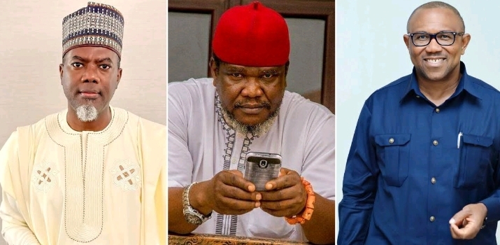 Peter Obi: You will not escape the consequences – Veteran Actor Ugezu lashes out at Reno Omokri