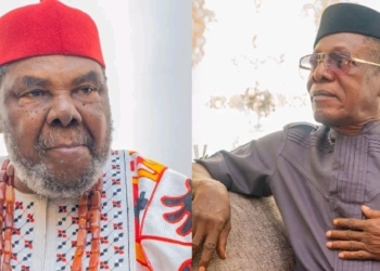 Pete Edochie and Nkem Owoh: Kidnap Victims, Nollywood Survivors