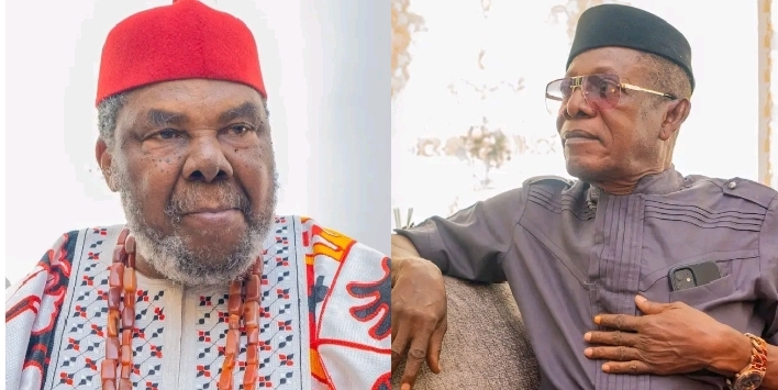 Pete Edochie and Nkem Owoh: Kidnap Victims, Nollywood Survivors