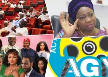 What really happened when Nollywood met the National Assembly