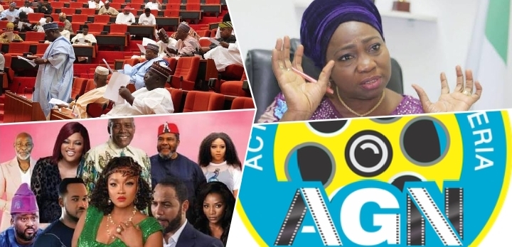 What really happened when Nollywood met the National Assembly