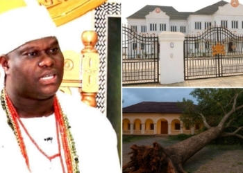 Moment Ooni Adeyeye Ogunwusi ordered Prayers after a Sacred Tree Fell at Ile-Ife’s Palace Gate
