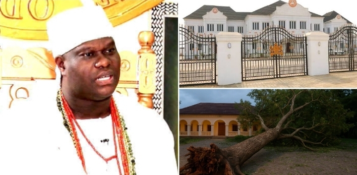 Moment Ooni Adeyeye Ogunwusi ordered Prayers after a Sacred Tree Fell at Ile-Ife’s Palace Gate