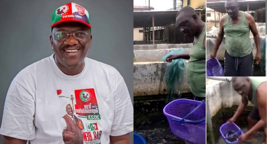 Mixed reactions trail LP's Ben Etanabene working on his fish farm after winning House of Reps seat