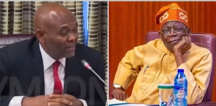 Tony Elumelu and Bola Tinubu