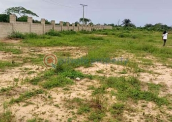 Land in Lagos illustration