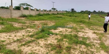 Land in Lagos illustration