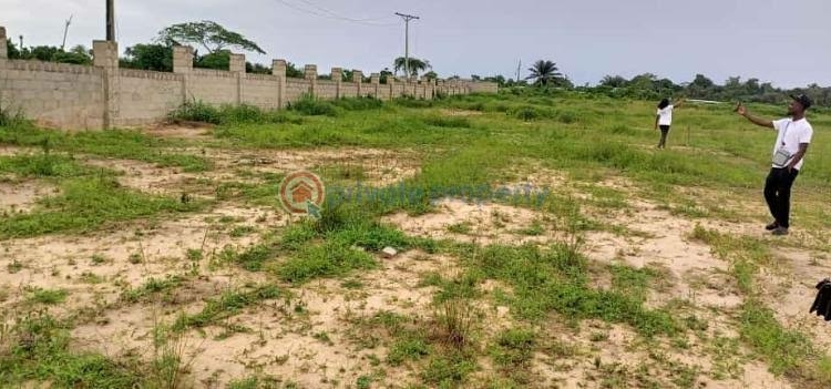 Land in Lagos illustration