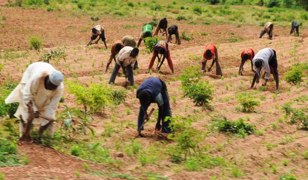 Insecurity: Zamfara farmers to meet with bandits today