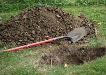 File Image: Shallow Grave
