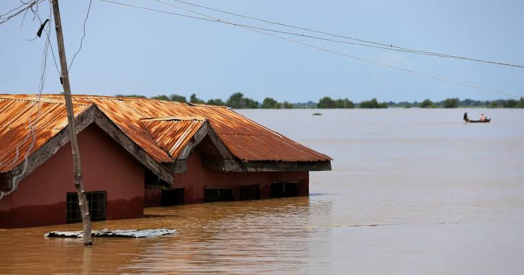 37 killed, 89,000 farmlands submerged as flood ravages Adamawa