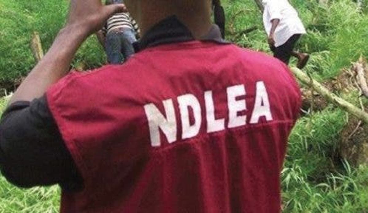 NDLEA nabs Abuja businessman trading drugs online