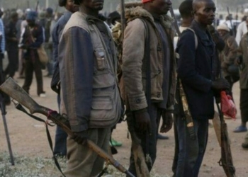 Cross section image of local vigilantes (Image for depiction)