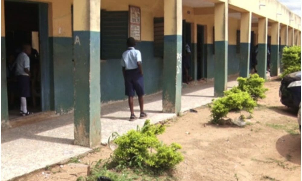 Ogun teachers in fear as students, parents hire thugs to attack schools