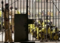 Anambra poll: Prison inmates to vote on Saturday – IPOB