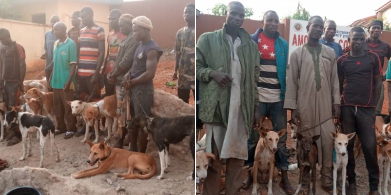 PHOTOS: Amotekun arrests 17 northerners with 35 dogs, charms, cutlasses in Ondo