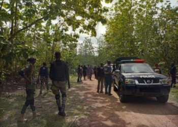 File photo of police in a forest