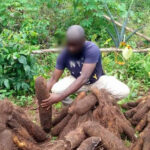Polytechnic guard shoots farmer to death in Osun