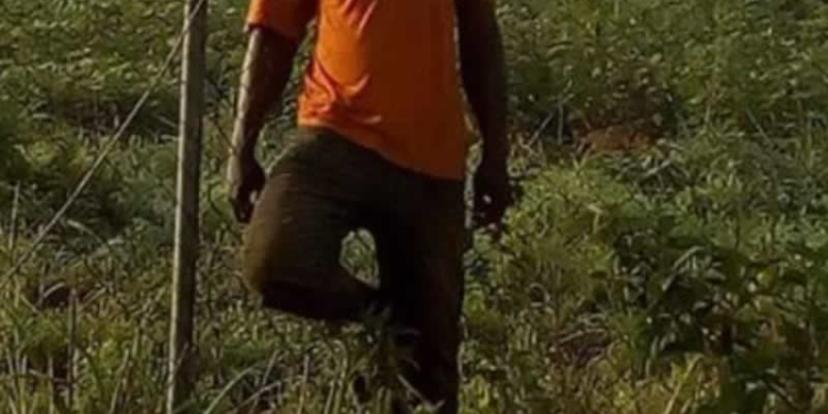 Depict image - man found hanging in the bush