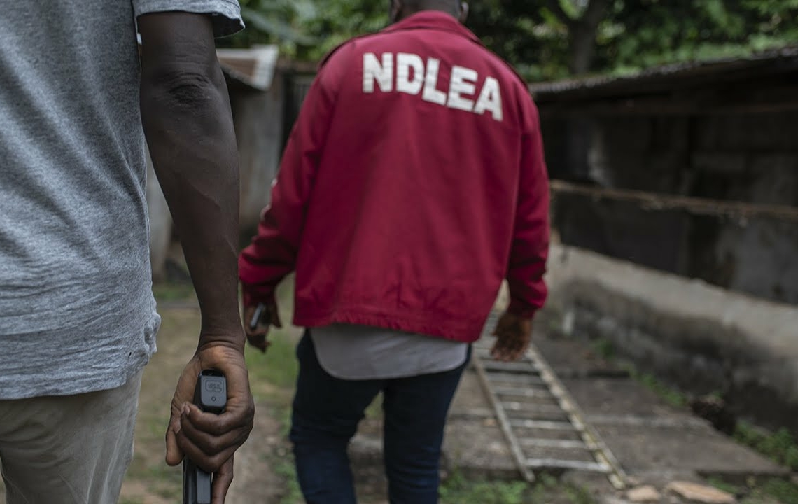 NDLEA nabs two fake security agents with illicit drugs, substances in Yobe