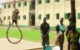 Popular Adamawa wrestler  to die by hanging