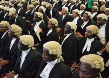 Lawyers Travelling Freely Across Nigeria