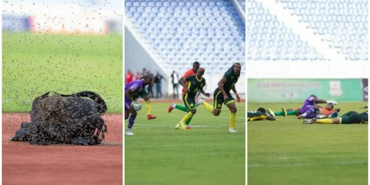 Drama , Players Scamper , Bees , Zambian Super League Match, Zambian Super League