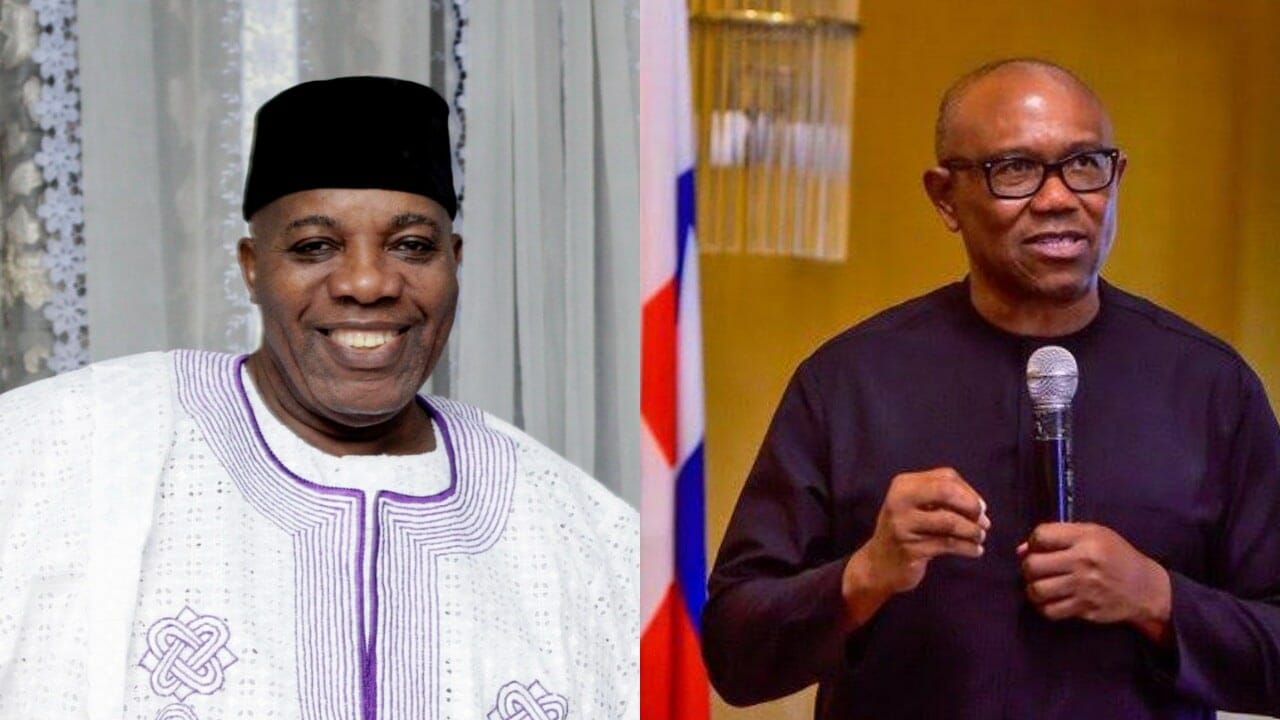 For Peter Obi and I, Labour Party was just a special purpose vehicle - Doyin Okupe