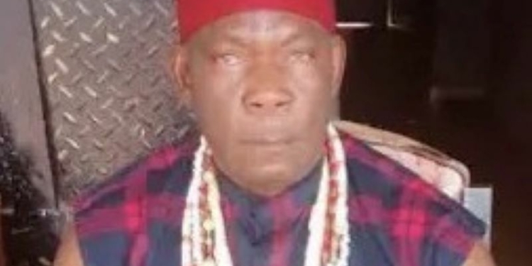 Fredrick Nwajagu, the Eze Igbo of Ajao Estate