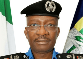 Acting Inspector-General of Police (IGP), Olukayode Egbetokun