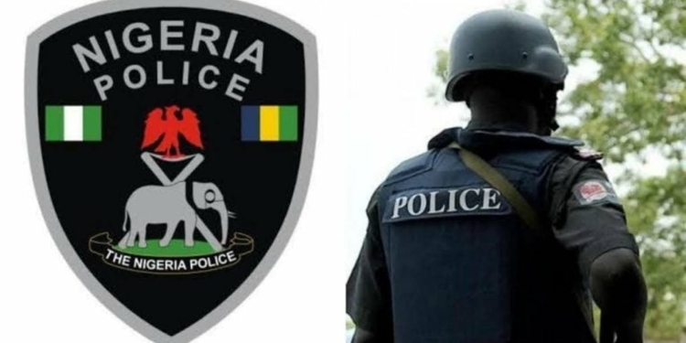 The Nigerian Police Logo and back view of a policeman